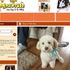 Dogpawfile Pet Community