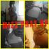 TIffany Renee wigfall