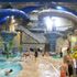Wana Waves Aquatics