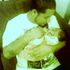 david hernandez