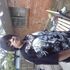 Raul jr Alvarado