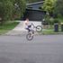 Todd Callow