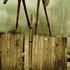 Wooden Horses