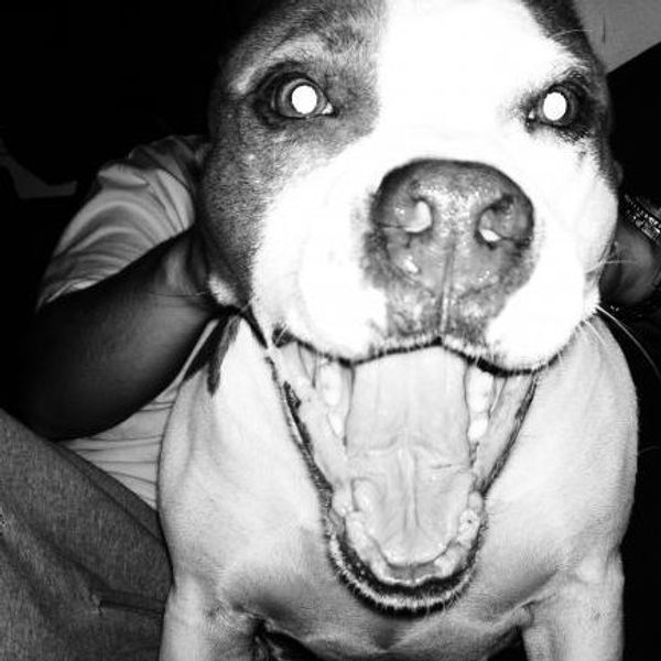 MySpace profile picture for @handkerchief