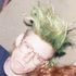 Juan Galloway, Punk Rocker In A Former Life
