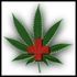 Medical Marijuana For Michigan