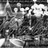 テ 一 kevin Dam don't