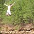 Jared Wix