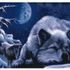 ben boyen