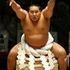 Poiboy Yokoyama