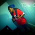 Teddy N