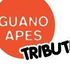 Plastic Mouth (Guano Apes tribute band)
