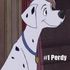 Perdy Pongo