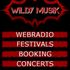 Wildy Musik