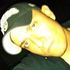 Edgar Maciel