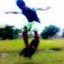 Just for Ur Kiss