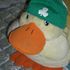 robie ducko