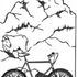Mountain Goat