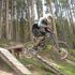 alex docken