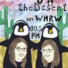 Penguins In The Desert [RADIO]