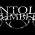 Untold Numbers