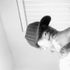 Shane Holguin