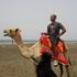 Dawit Private