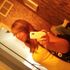 Amanda Mcdermott