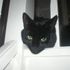 Spooky Cat