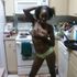 NEyesha BRunson