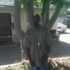 Townsta Loc