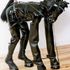 hoof