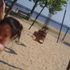 hello (: Park