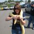 Amanda Nieman -