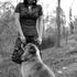 Anne Harris