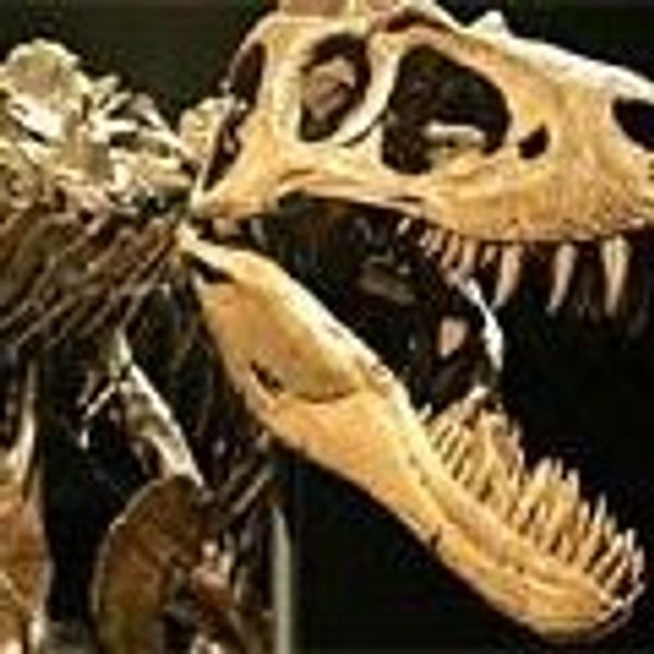 MySpace profile picture for @paleontologist