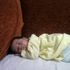 Youssef Gamal