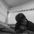 Josh Asher