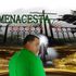 Menacesta