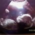 georgiana Mcduff-Leigh