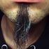shane seals