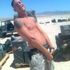 Jake Payton