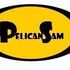 Pelican Sam