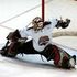 Idaho Steelheads