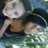 Arieanna Loves
