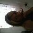 Tiffany Taylor