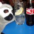barry lemur