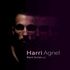 Harri Agnel