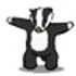 Buck Badger