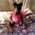MOmmy Love
